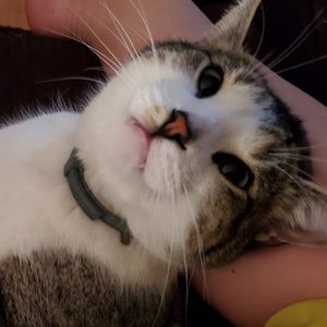 Meet your Posher, Renae